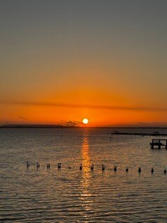 Foto del edificio - 4950 Bayshore Blvd