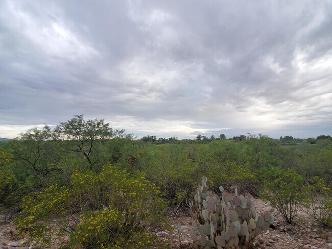 Beautiful view from patio - 3420 N Country Club Vista Plz