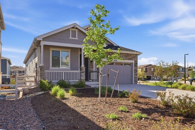 Foto del edificio - Castle Rock - Rancher 4 bed 3 bath in Crystal Valley!