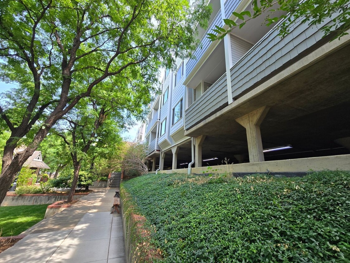 Walk to Pearl Street Mall from this adorab... - Walk to Pearl Street Mall from this adorab...