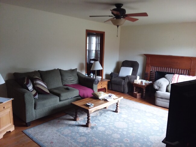 Large living room with ceiling fan. - 1255 Culbert Dr