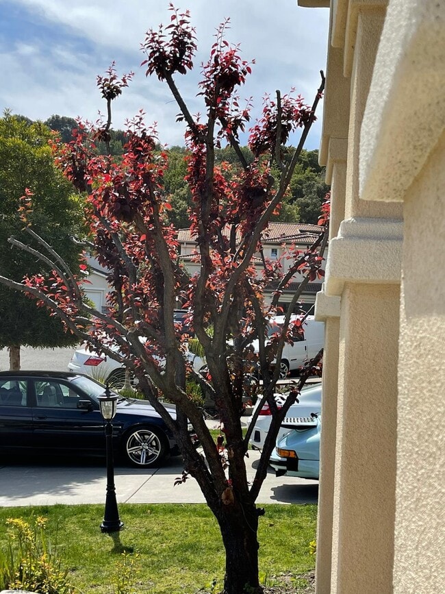 Foto del edificio - 1013 Ridgeview Dr