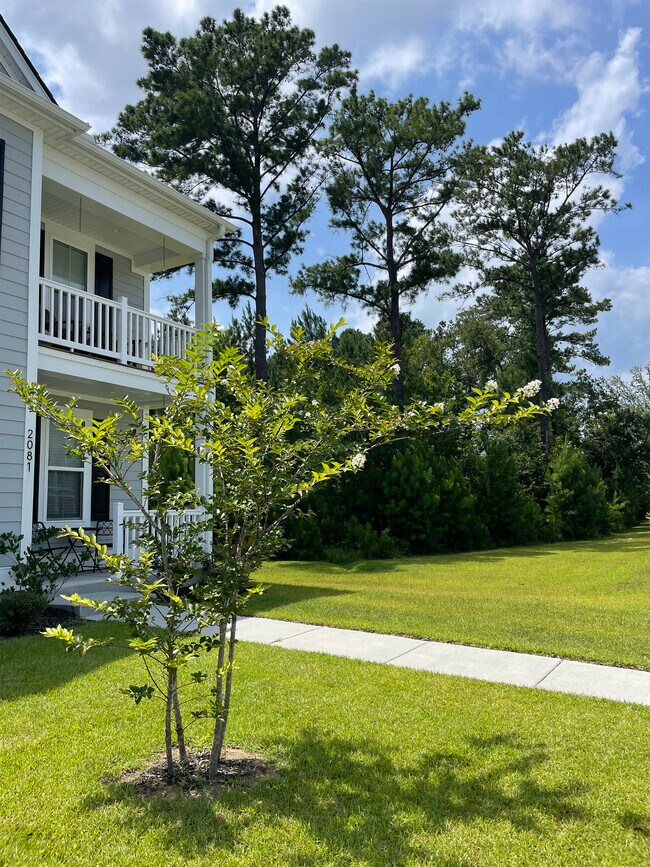 Wooded Privacy - 2081 Utsey St