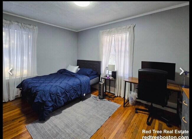 Foto del edificio - 235 Chestnut Hill Ave