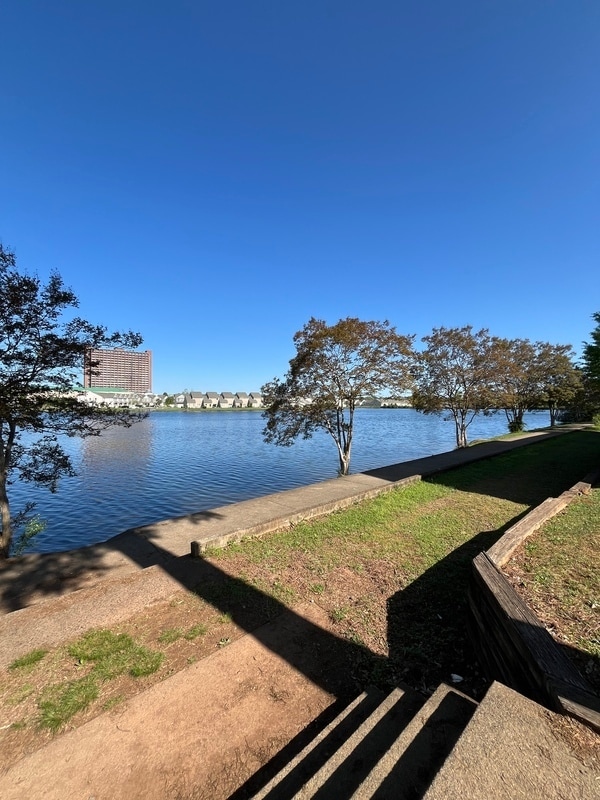 Foto del edificio - 581 Star Light Dr