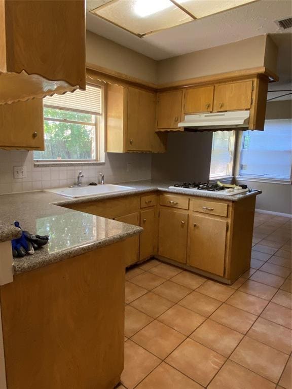 Building Photo - 9711 S Petersham Dr