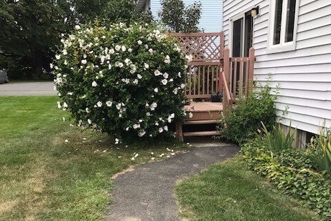Primary Photo - 23 Johnson Rd