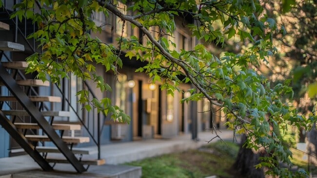 Building Photo - Lev