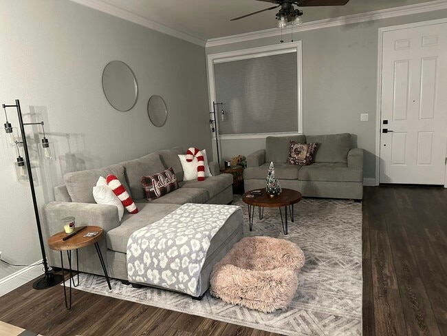 Building Photo - 203 Dante Cir