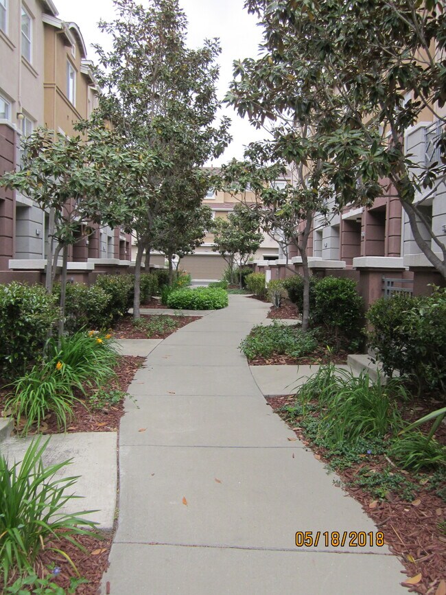 Foto del edificio - 716 City Walk Pl