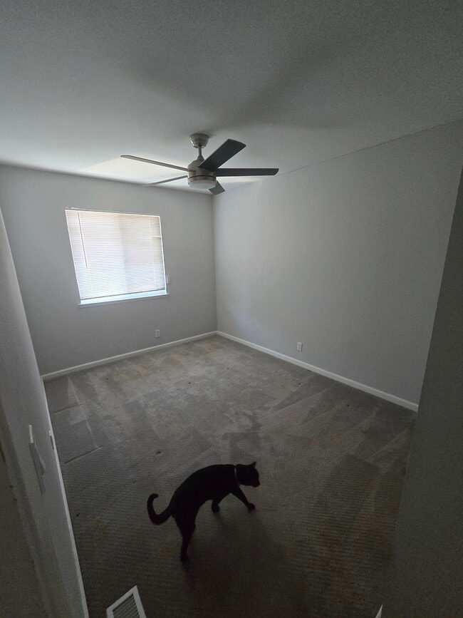 The bedroom for rent - 613 Millich Dr