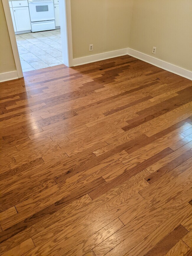 Real wood floors in bedroom and giant walk-in closet - 312 Bowen St