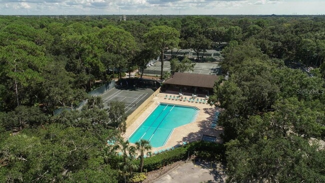 Photo - Completely Updated! Central Sarasota Location! Apartment