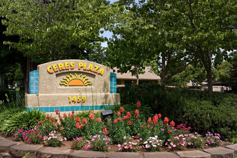 Primary Photo - Ceres Plaza Apartments