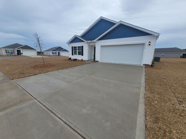 Foto del edificio - Welcome to our brand new 4-bedroom, 2-bathroom home located in the charming community of Castle H...