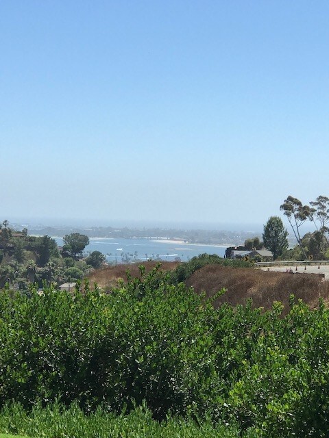 view from private patio - 3672 Clairemont Dr
