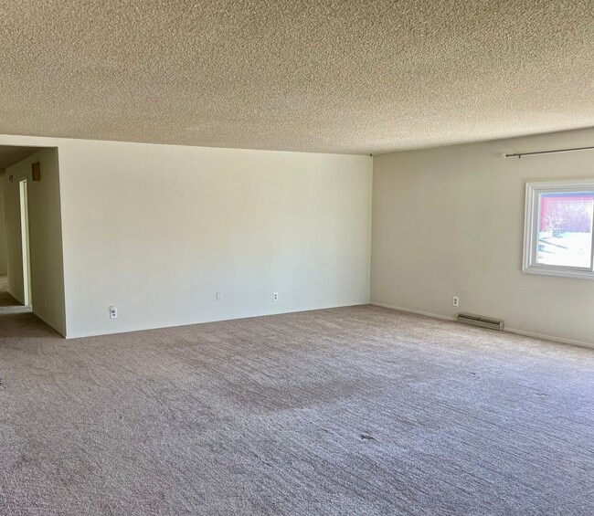 Foto del edificio - 3bd/2ba Home near Downtown Littleton!