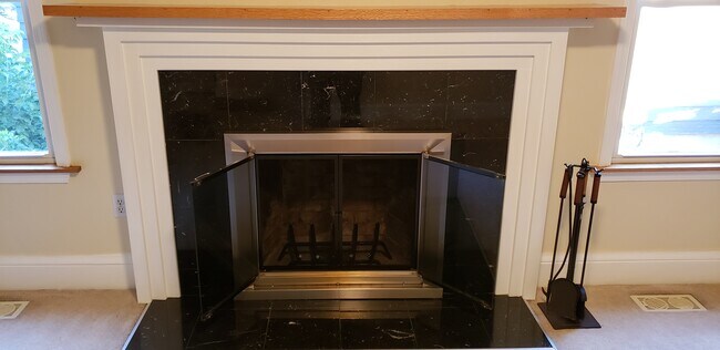 Fireplace and Grate - 710 S Plain St
