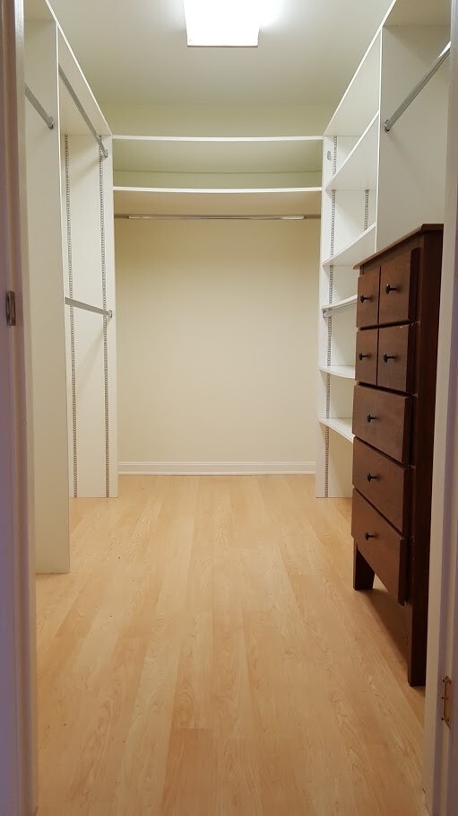 Building Photo - Spacious 3 bedroom 2.5 bath in Squirrel Hill!