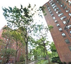 Primary Photo - 287 Avenue C