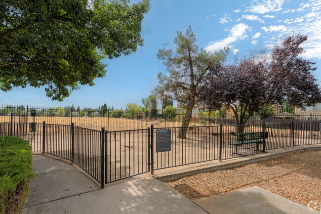 Dog Park - PINNACLE AT GALLERIA