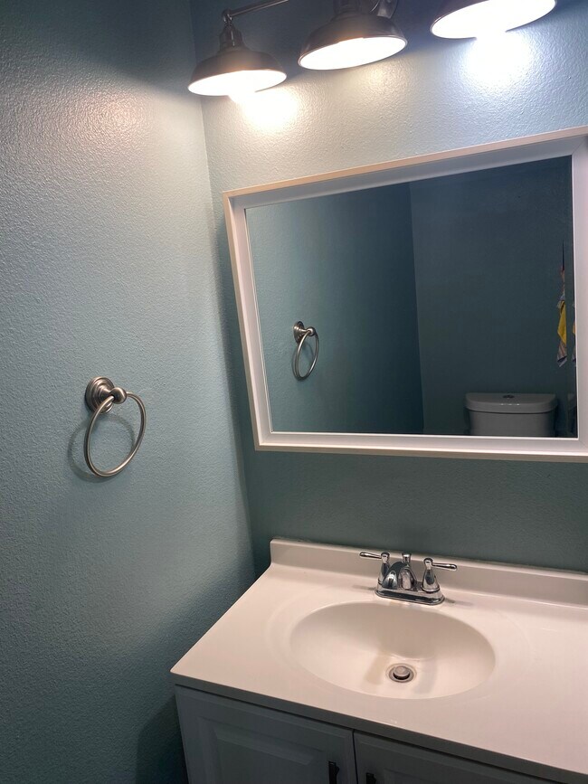 Powder room (half bathroom near front entrance) - 6249 Lone Prairie Way