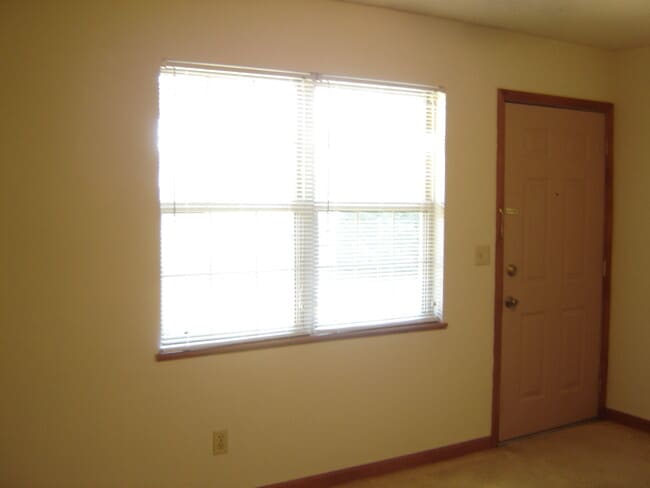 living room - 1113 E Lincoln St