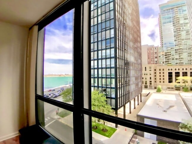 Building Photo - 900 N Lake Shore Dr