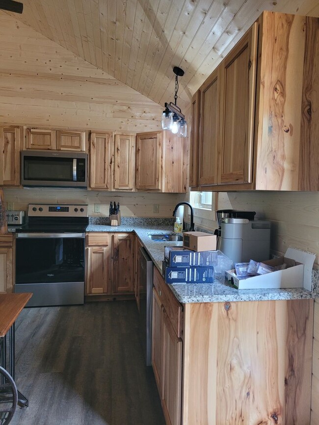 Building Photo - Beautiful Brand New 2bd Cabin in Trade, Te...