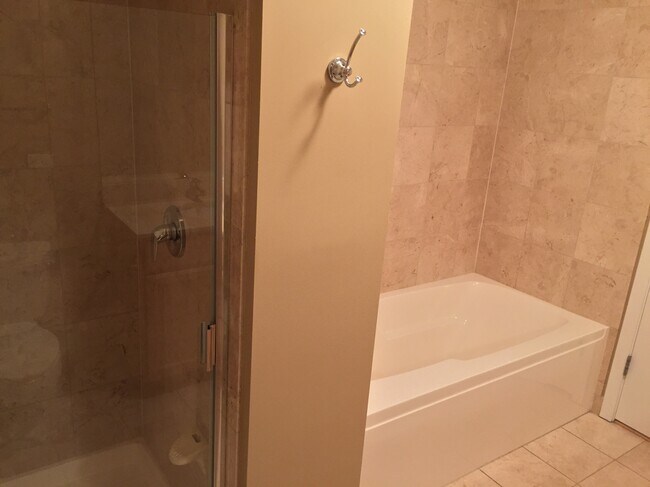 Master Bathroom - 1160 S Michigan Ave