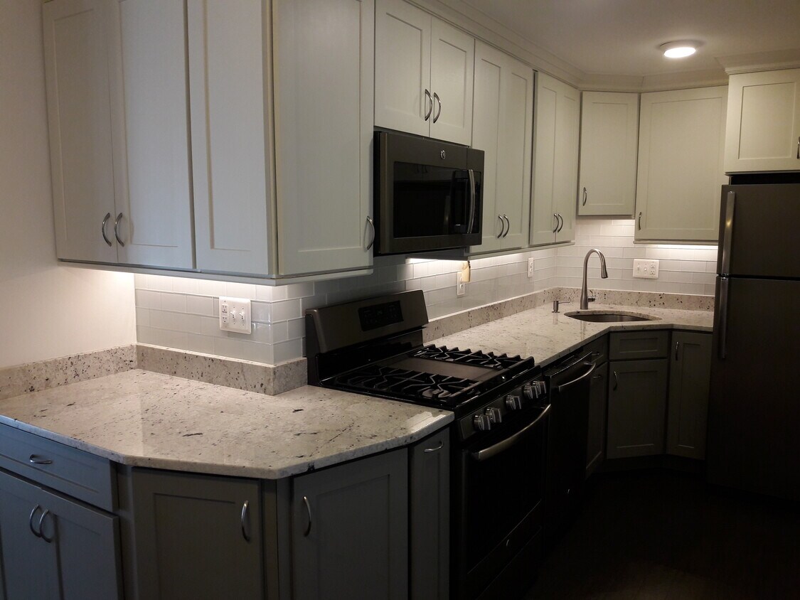 All new kitchen - 575 Thayer Ave #501