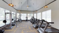 This single-story fitness center in Frisco is designed to provide a bright, comfortable, and well-equipped workout environment. The room features a striking vaulted, octagonal ceiling that lends an open, airy feel to the space, complemented by a ceiling fan and stylish pendant lights with warm-toned shades that add a modern touch to the interior.

Large windows line the perimeter of the room, allowing ample natural light to fill the space while offering views of the surrounding outdoor greenery. The windows are fitted with horizontal blinds, giving users control over light and privacy. The flooring consists of patterned carpet tiles in neutral gray and yellow tones, adding visual interest while providing a comfortable surface underfoot.

The fitness center is outfitted with a well-rounded selection of equipment, including Matrix treadmills, elliptical machines, a stair climber, and multi-use cable and strength machines. The layout is thoughtfully arranged to maximize usable floor space while maintaining clear pathways between equipment. The overall ambiance is clean, modern, and inviting, making it a functional and appealing facility for daily exercise.