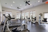 Located at 11900 Oakmoor Pkwy in Houston, TX, this dedicated fitness center offers a comprehensive exercise environment within a single, thoughtfully designed room. The space features neutral-toned walls and a durable dark rubber flooring, providing a clean and functional aesthetic throughout.

Natural light fills the room through a series of large windows fitted with wood-trimmed blinds, lending warmth to the otherwise utilitarian setting. Two ceiling fans overhead ensure consistent airflow and comfort during workouts, complementing the recessed lighting that illuminates the space evenly.

The cardio section is well-appointed with multiple treadmills, an elliptical trainer, a stationary bike, and a rowing machine — all positioned to take advantage of the natural light from the windows. On the strength training side, a selection of Paramount-branded cable and weight machines provides options for a full-body workout, while free weights including dumbbells and a kettlebell offer additional versatility.

A floor-to-ceiling mirror spans one full wall, visually expanding the space and allowing users to monitor their form. The layout is organized and spacious, allowing comfortable movement between equipment. This fitness center delivers a practical, well-maintained facility suitable for a broad range of exercise routines.
