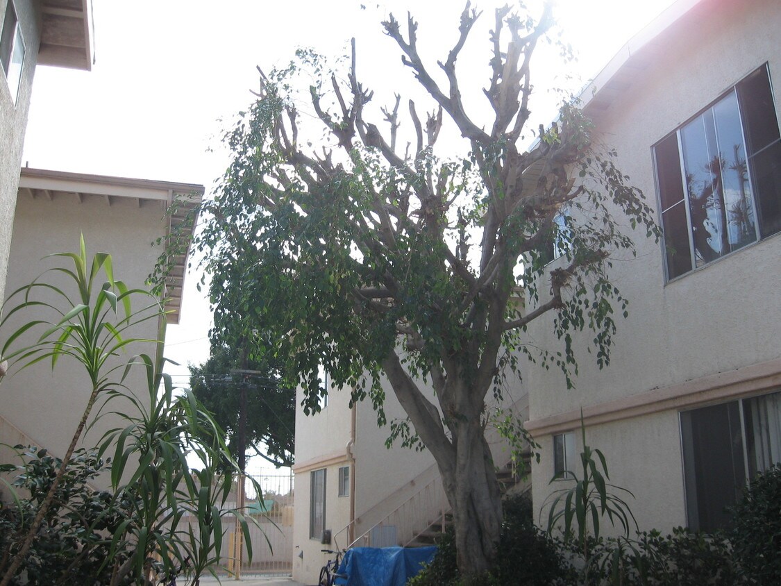 Building - 4807 S Centinela Ave