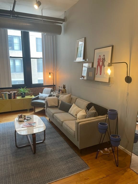 Living room - 728 W Jackson Blvd
