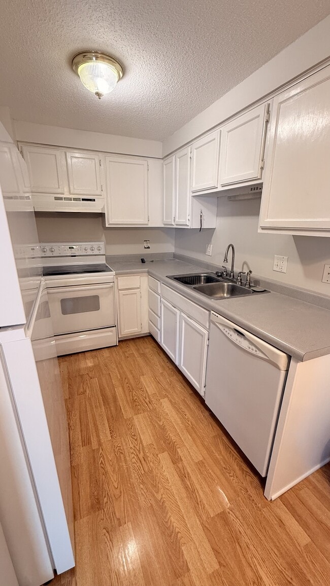 Building Photo - 937 Breezewood Cir