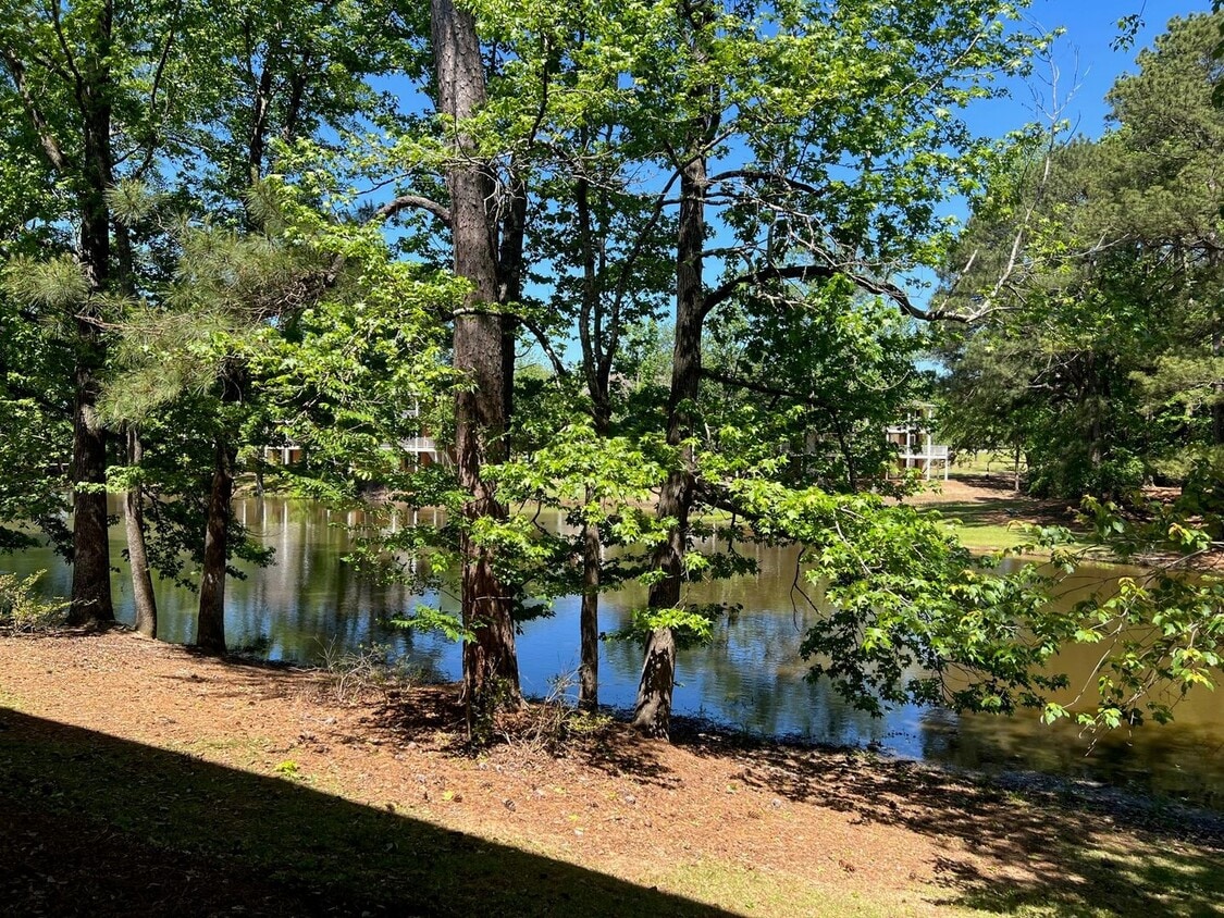 Foto del edificio - Fall 2026 Awesome 1 Bedroom Apt @ Lakewood Commons!