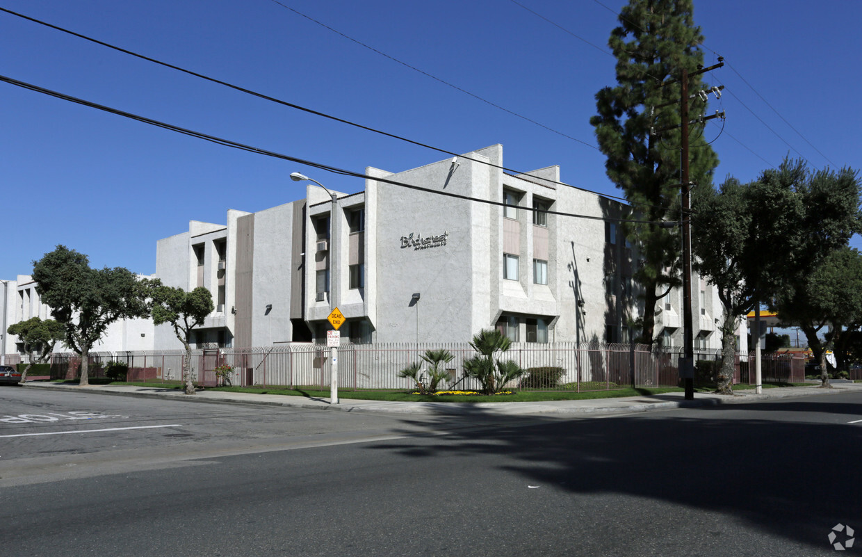 Primary Photo - Birchcrest Apartments