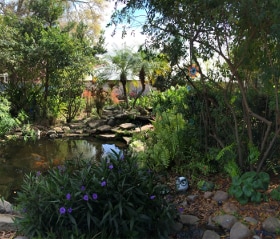 A topical oasis in Kissimmee