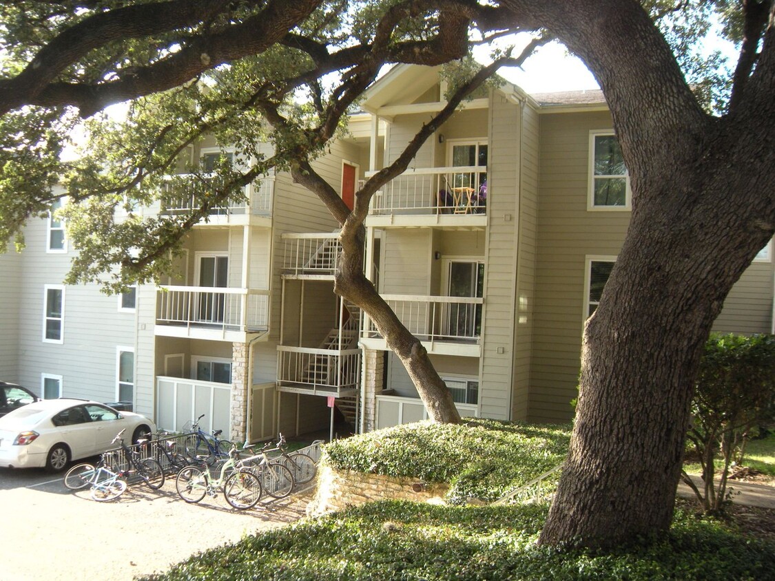 Foto principal - Hyde Park Oaks 1 Bedroom - Fall 2025 West ...