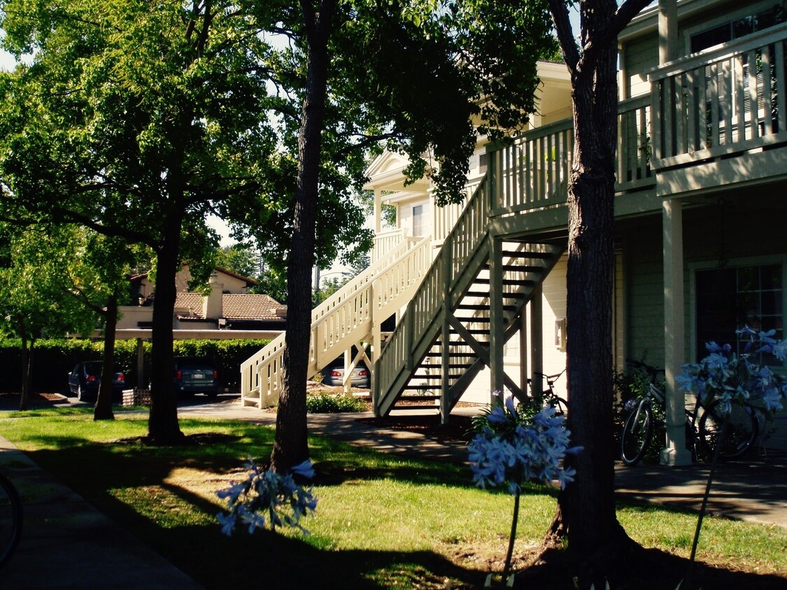 Primary Photo - 1200 Sq Ft Apartment in Beautiful Sonoma!