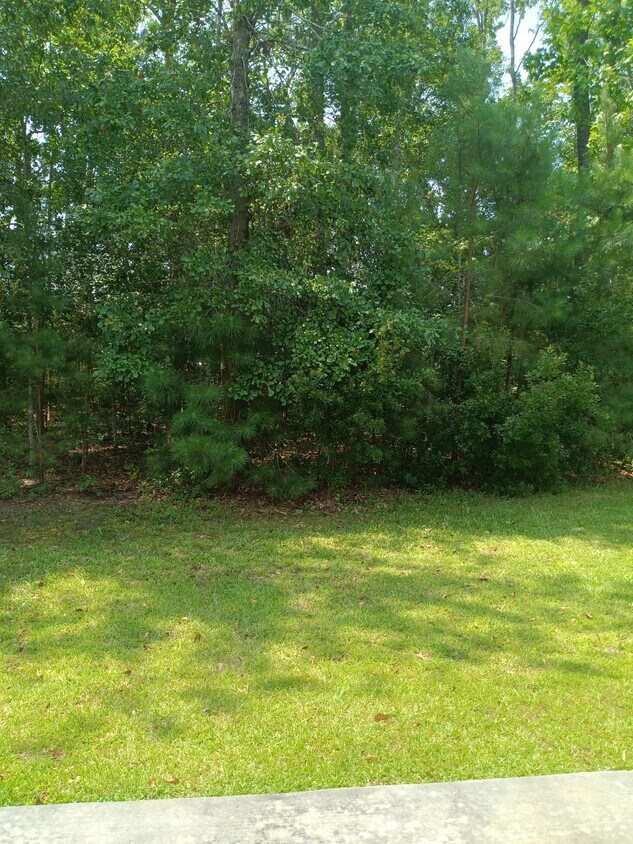 409 Cheticamp Ct, Conway, SC 29527 House Rental in Conway, SC