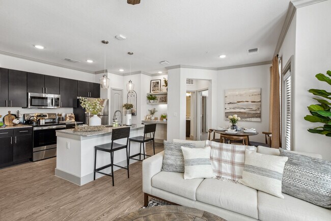 Foto del interior - Paloma