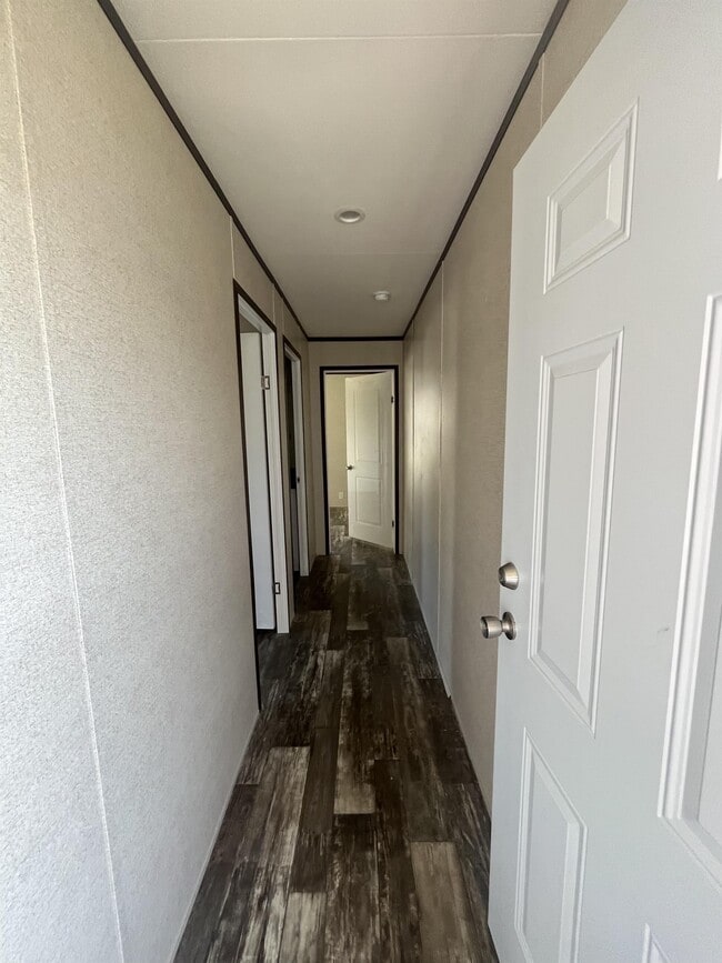 Building Photo - 503 Cereus Dr