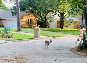 Building Photo - 3007 Willowbend Rd