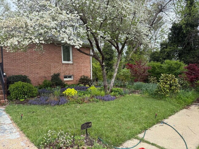 Photo - 1312 N 37th St House