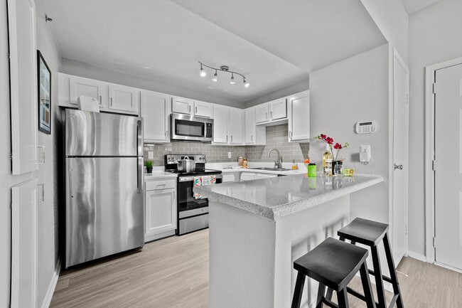 1BR, 1BA - 521SF - Kitchen - Spring Parc