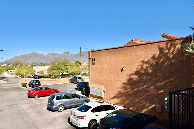 Foto del interior - Acacia Gardens