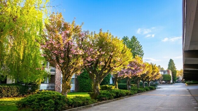 Photo du bâtiment - Cedar Lodge Apartments
