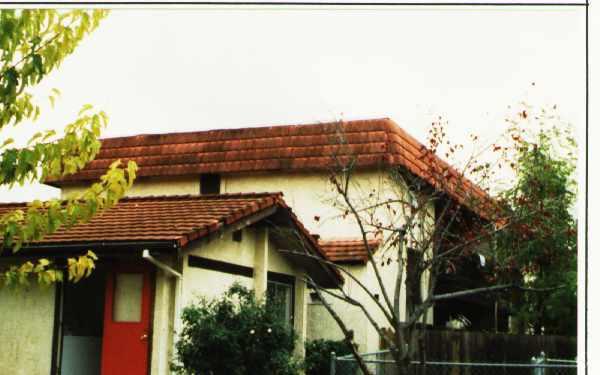 Primary Photo - 1118 Eureka Ln
